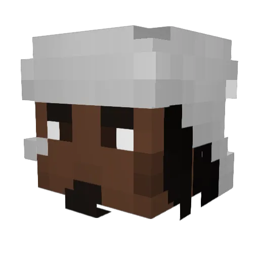 LocoPlains5 Minecraft avatar head, 3D render
