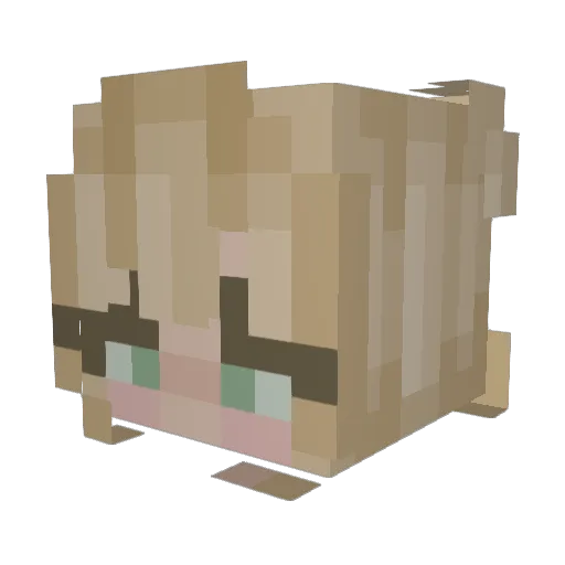 Locopi Minecraft avatar head, 3D render