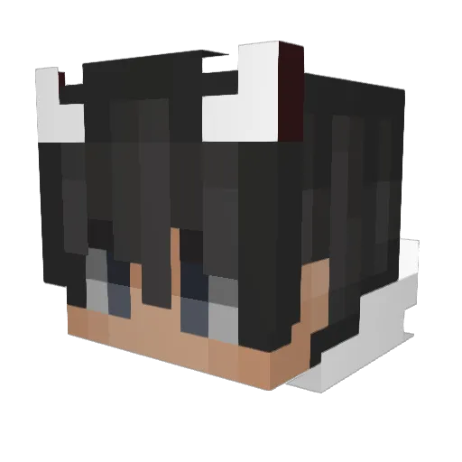 Locotroll Minecraft avatar head, 3D render