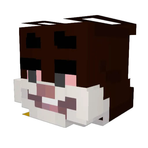 Lodaemon Minecraft avatar head, 3D render