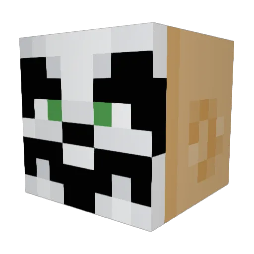 LodwarHayes Minecraft avatar head, 3D render