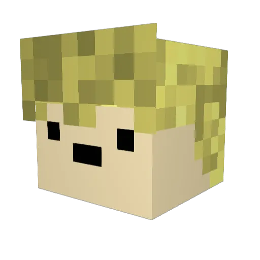 Loekaz_Spider Minecraft avatar head, 3D render
