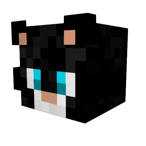 LoesungAxt21629 Minecraft avatar head, 3D render