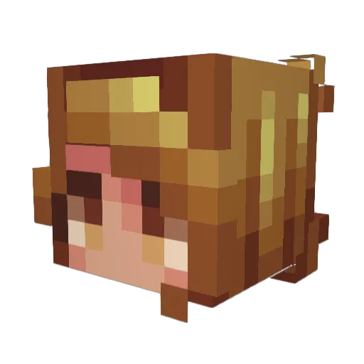 Loetje2 Minecraft avatar head, 3D render