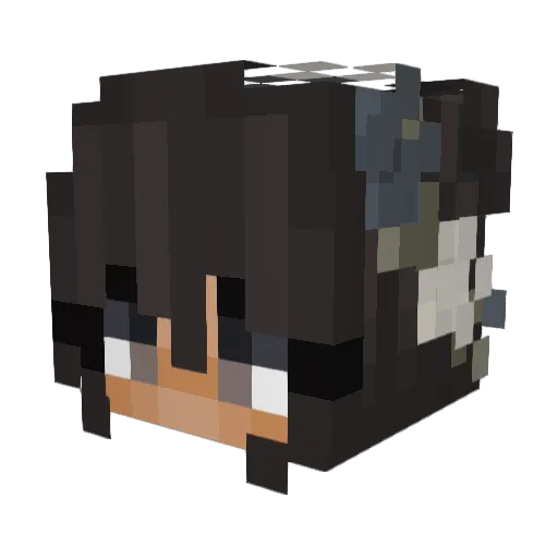 Loewes_ Minecraft avatar head, 3D render