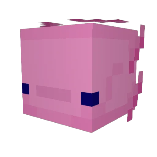 Lofloat Minecraft avatar head, 3D render