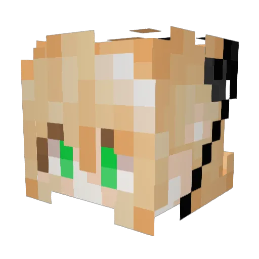 Log4n02 Minecraft avatar head, 3D render
