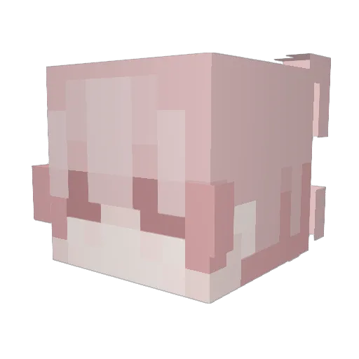 Log_ooon Minecraft avatar head, 3D render