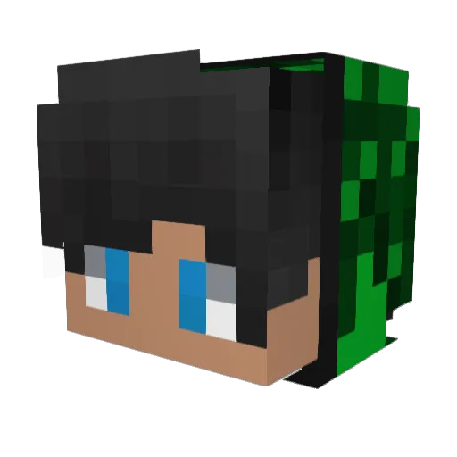 Logam245 Minecraft avatar head, 3D render