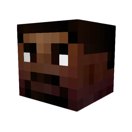 Logan1799 Minecraft avatar head, 3D render