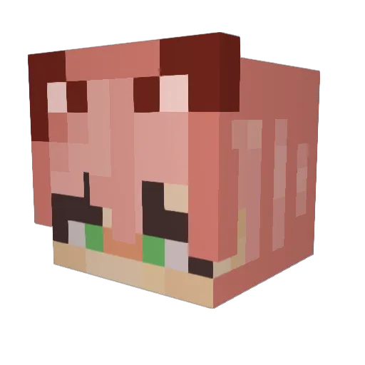 Logan19961 Minecraft avatar head, 3D render