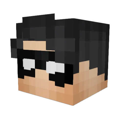 Logan1wa Minecraft avatar head, 3D render