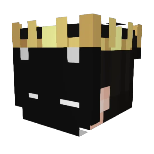 Logan2410 Minecraft avatar head, 3D render