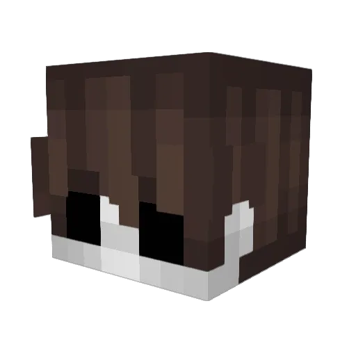 Logan72rus Minecraft avatar head, 3D render
