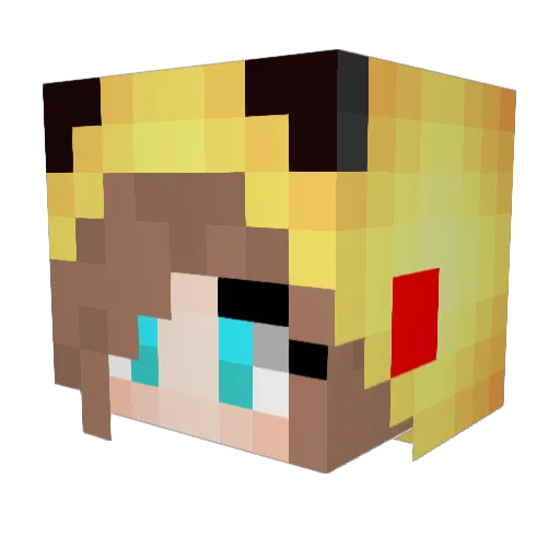 LoganBerrii Minecraft avatar head, 3D render