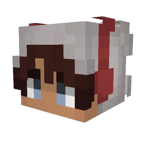 LoganCookies Minecraft avatar head, 3D render