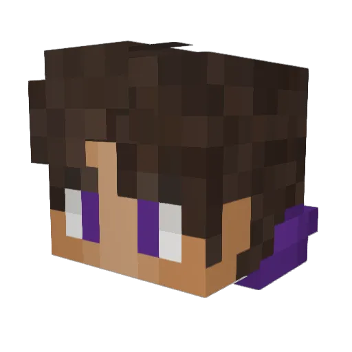 LoganHockey80 Minecraft avatar head, 3D render