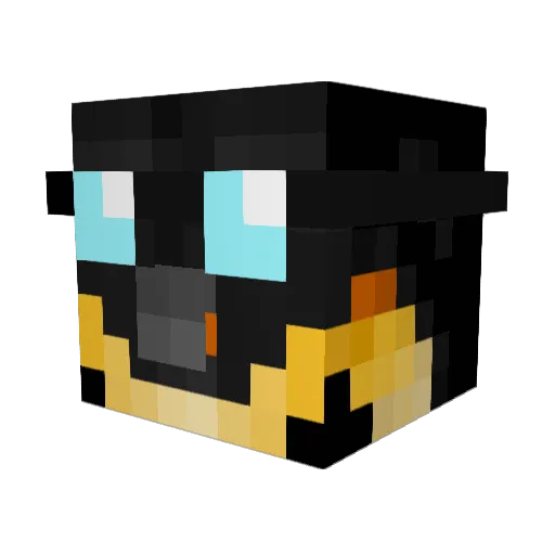 LoganL12346 Minecraft avatar head, 3D render