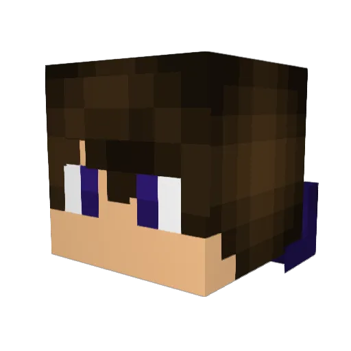 LoganLyfe Minecraft avatar head, 3D render