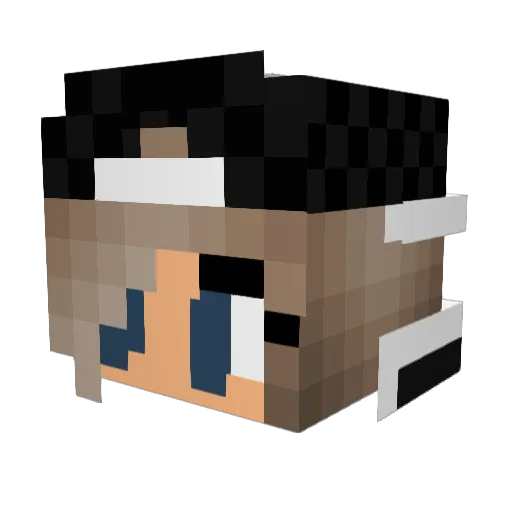 LoganMac03 Minecraft avatar head, 3D render