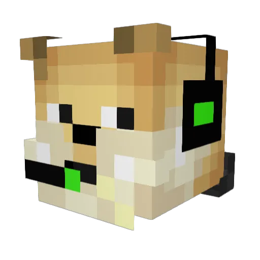 LoganNedz Minecraft avatar head, 3D render