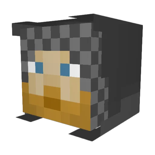 LoganPlayz_MC Minecraft avatar head, 3D render