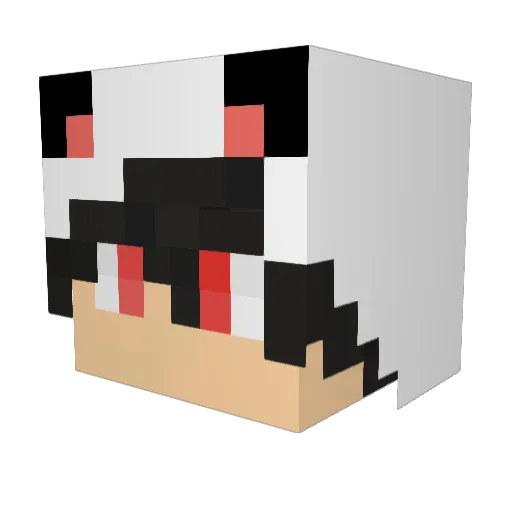 LoganRBreck Minecraft avatar head, 3D render