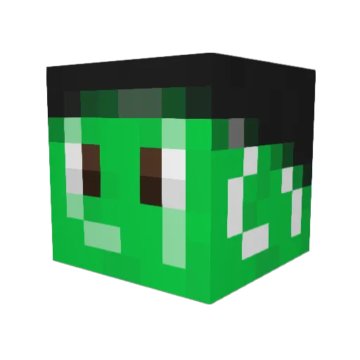 LoganRoman24 Minecraft avatar head, 3D render