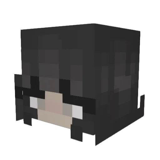 LoganXLVII287 Minecraft avatar head, 3D render