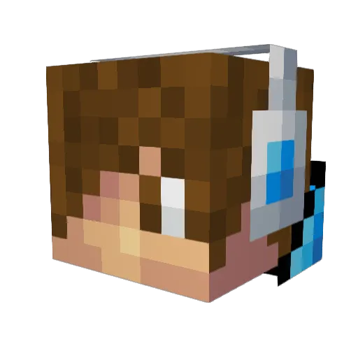 Logan_Stein Minecraft avatar head, 3D render