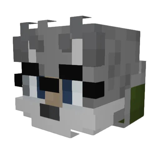 Loganator404 Minecraft avatar head, 3D render