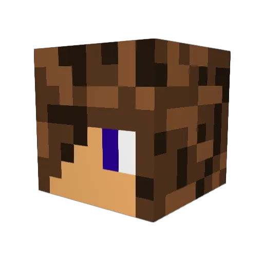 Loganatr Minecraft avatar head, 3D render