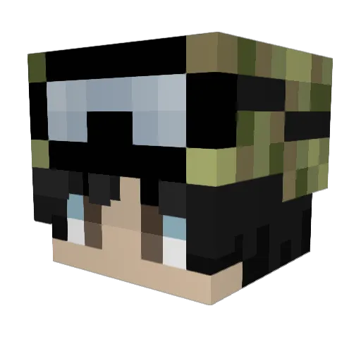 Loganberry16 Minecraft avatar head, 3D render