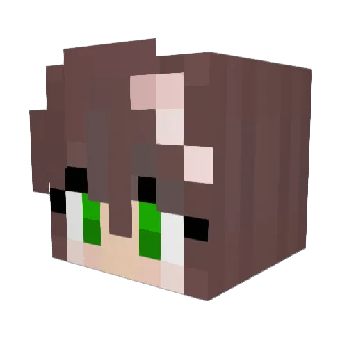 Logandotplay Minecraft avatar head, 3D render