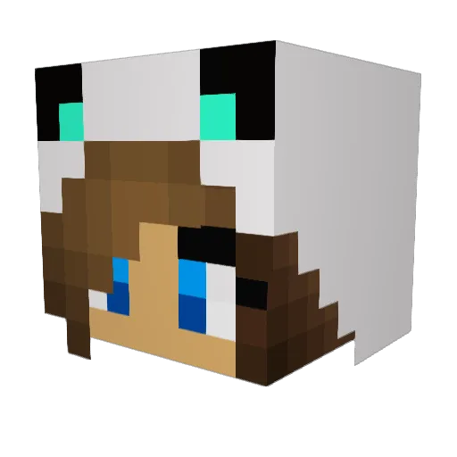 LoganeMoi Minecraft avatar head, 3D render