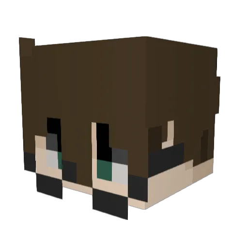 Logangsta195 Minecraft avatar head, 3D render