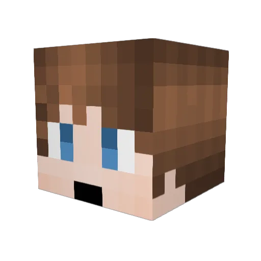 Loganthekid61 Minecraft avatar head, 3D render
