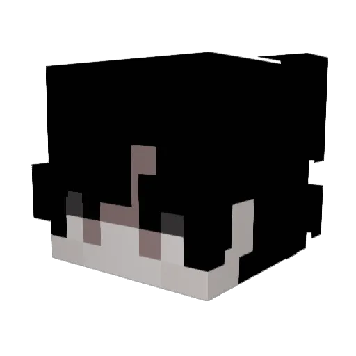 LogarithmeX Minecraft avatar head, 3D render