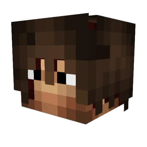 LogeeBear Minecraft avatar head, 3D render