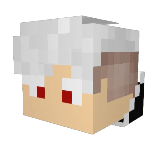 Logganx Minecraft avatar head, 3D render