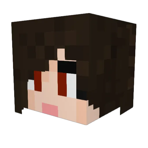Loggy75 Minecraft avatar head, 3D render
