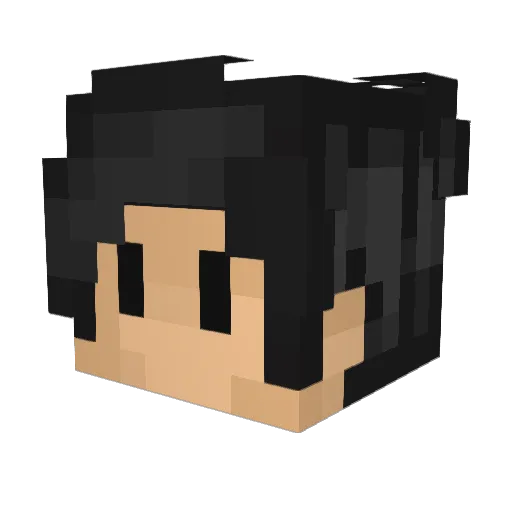 Loghan_Aorie Minecraft avatar head, 3D render