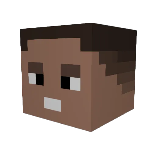 LogiRobot55 Minecraft avatar head, 3D render