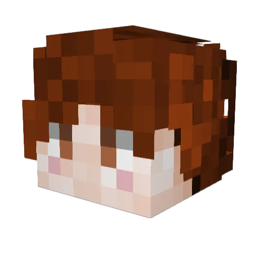 Logi_99 Minecraft avatar head, 3D render
