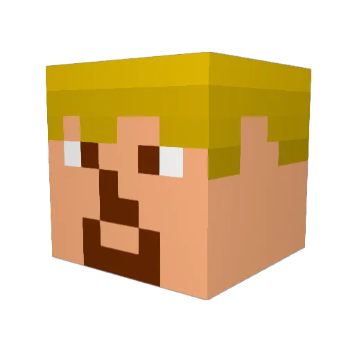 Logi_Bear_01 Minecraft avatar head, 3D render
