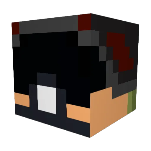 Logibear205 Minecraft avatar head, 3D render