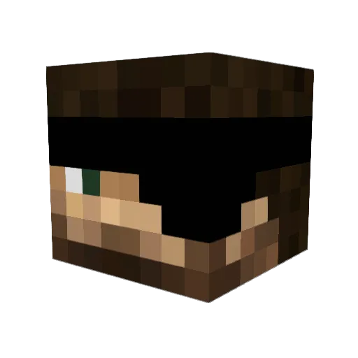 LogicFLFL Minecraft avatar head, 3D render