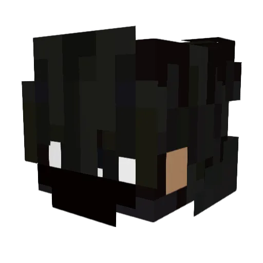 LogicallyWrong Minecraft avatar head, 3D render