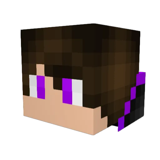 Logicseal Minecraft avatar head, 3D render