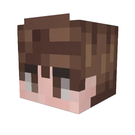 Login1199 Minecraft avatar head, 3D render